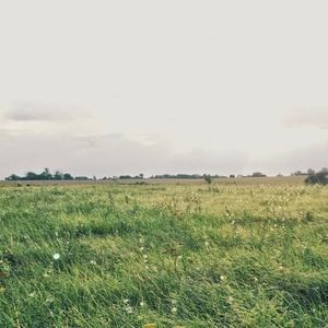 Meet your Posher, Britt